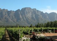 Franschhoek, South Africa Franschhoek, South Africa