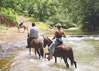 Horse-riding, Puerto Viejo de Sarapiqui Horse-riding, Puerto Viejo de Sarapiqui