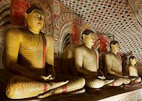 Buddha statues in the Dambulla Cave Temples Buddha statues in the Dambulla Cave Temples