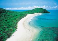 Cape Tribulation, Cape Tribulation by appointment with Downunder Tours Cape Tribulation, Cape Tribulation by appointment with Downunder Tours