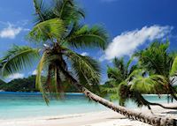 Seychellois Beach Seychellois Beach