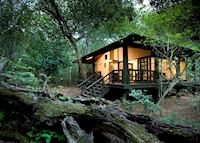 Phinda Forest Lodge, Phinda Private Game Reserve Phinda Forest Lodge, Phinda Private Game Reserve