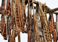 Dried fish, riverboat discovery tour Dried fish, riverboat discovery tour