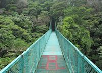 Canopy walkway at Selvatura Canopy walkway at Selvatura