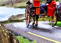 Jaunting car on Gap of Dunloe Jaunting car on Gap of Dunloe