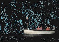 Glow worm caves, Waitomo Glow worm caves, Waitomo