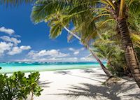 Beautiful white sandy beach, Boracay Beautiful white sandy beach, Boracay