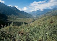 Sapa valley view, Vietnam Sapa valley view, Vietnam