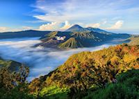 Mount Bromo Mount Bromo