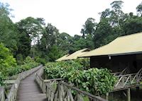 Walkway to chalets, Borneo Rainforest Lodge, Danum Valley Walkway to chalets, Borneo Rainforest Lodge, Danum Valley