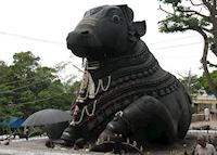 Nandi Bull, Chamundi Hill, Mysore Nandi Bull, Chamundi Hill, Mysore