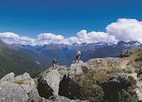 Lake McKerrow, Hollyford Track Lake McKerrow, Hollyford Track