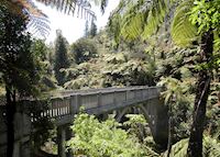 Bridge to Nowhere, Whanganui National Park Bridge to Nowhere, Whanganui National Park