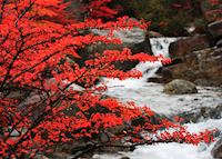 El Chalten in autumn, Argentina El Chalten in autumn, Argentina