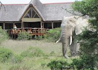 Amakhala Bush Lodge, Eastern Cape Game Areas Amakhala Bush Lodge, Eastern Cape Game Areas