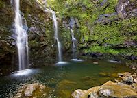 Waterfall, Hana, Maui (Source: HTA / Tor Johnson) Waterfall, Hana, Maui (Source: HTA / Tor Johnson)