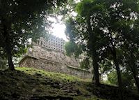 Yaxchilan temple and surrounding jungle, Chiapas Yaxchilan temple and surrounding jungle, Chiapas