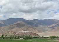 Stakna Monastery, Tiger Nose Stakna Monastery, Tiger Nose