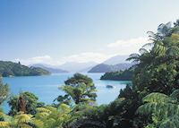 The Marlborough Sounds, New Zealand The Marlborough Sounds, New Zealand