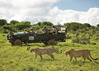Game drive in Kwandwe Game drive in Kwandwe