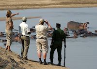 Walking safari in the South Luangwa National Park Walking safari in the South Luangwa National Park