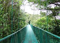 Cloud-forest, Monteverde Cloud-forest, Monteverde