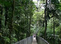 Canopy Walkway, Arenal Canopy Walkway, Arenal