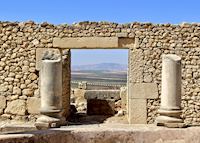 Volubilis Volubilis