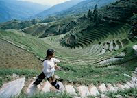 Dragon's Backbone Rice terraces, Longji Dragon's Backbone Rice terraces, Longji