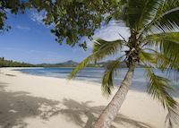 Fiji Fiji
