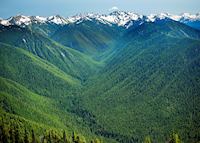 Hurricane Ridge Olympic National Park Hurricane Ridge Olympic National Park