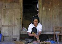 Woman making Christmas decorations out of rice stems, Hapao Village, Ifugao Province, Luzon Woman making Christmas decorations out of rice stems, Hapao Village, Ifugao Province, Luzon