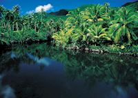 Faaroa River, Raiatea Faaroa River, Raiatea