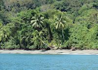 Beach at Nicuesa Rainforest Lodge, Costa Rica Beach at Nicuesa Rainforest Lodge, Costa Rica