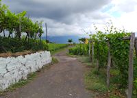 Winery, Mount Vesuvius Winery, Mount Vesuvius