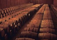 The Barrel Room at a Chilean Winery The Barrel Room at a Chilean Winery