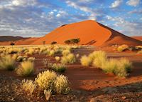 Sossusvlei, Namibia Sossusvlei, Namibia