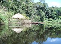 Cristalino Jungle Lodge, The Amazon Cristalino Jungle Lodge, The Amazon