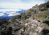 View to the valleys whilst climbing Mount Kinabalu, Kinabalu National Park, Sabah View to the valleys whilst climbing Mount Kinabalu, Kinabalu National Park, Sabah