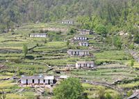 Village houses on the walk up to Leti Village houses on the walk up to Leti