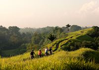 Cycling the paddy fields around Jatiluwih, Indonesia Cycling the paddy fields around Jatiluwih, Indonesia