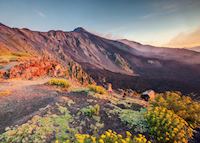 Fertile volcanic soil, Mount Etna Fertile volcanic soil, Mount Etna
