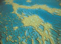 Aerial view, Great Barrier Reef Aerial view, Great Barrier Reef