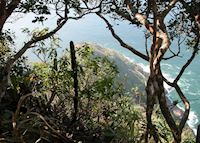 Climbing Sugarloaf Mountain, with views to Guanabara Bay, Rio de Janeiro Climbing Sugarloaf Mountain, with views to Guanabara Bay, Rio de Janeiro