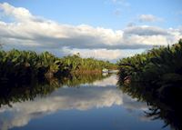 Tanjung Puting, Indonesia Tanjung Puting, Indonesia