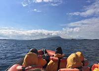 Corryvreckan wildlife tour Corryvreckan wildlife tour