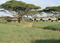 Serengeti Kati Kati Camp, Serengeti National Park Serengeti Kati Kati Camp, Serengeti National Park