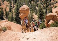 Horse riding, Bryce Canyon National Park Horse riding, Bryce Canyon National Park