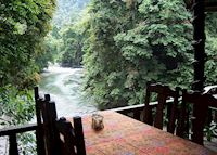 Jungle lodge, Tangkahan Jungle lodge, Tangkahan