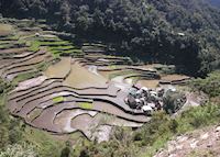 Hill village in the rice terraces, Banaue Hill village in the rice terraces, Banaue
